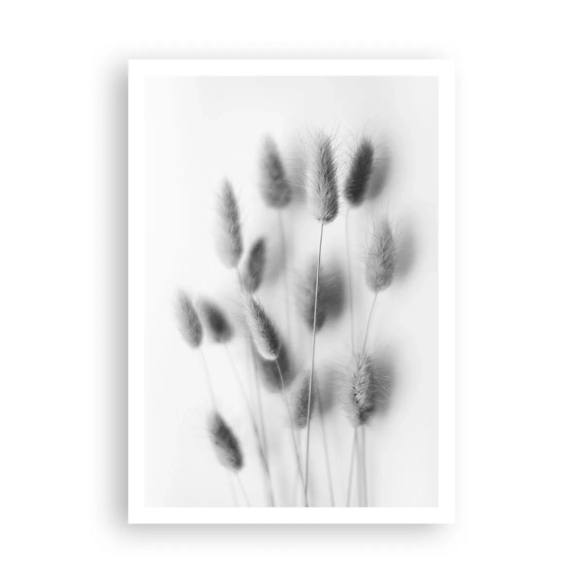 Poster - Her Softness Grass - 70x100 cm