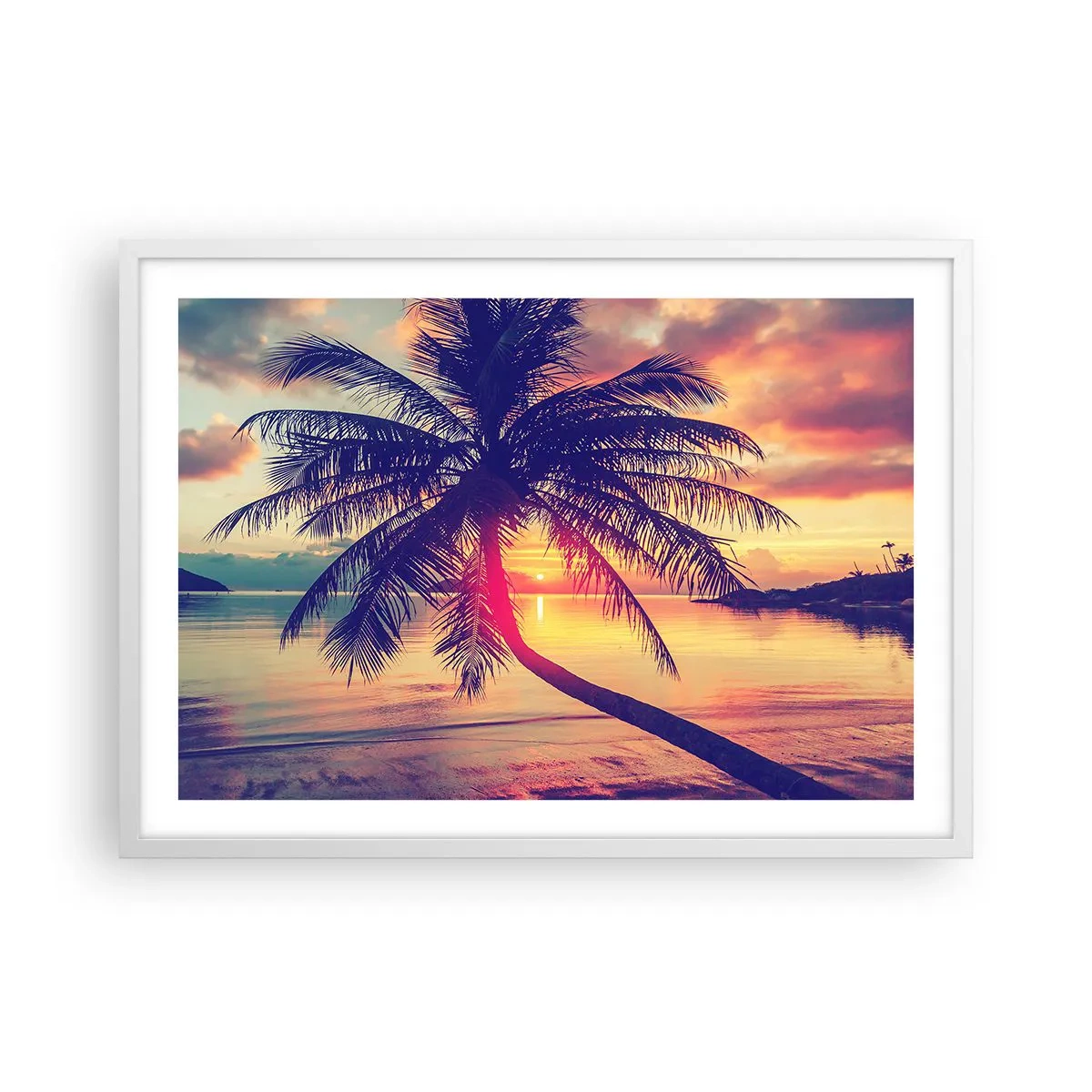 Poster in white frmae - Evening under the Palm Trees - 70x50 cm