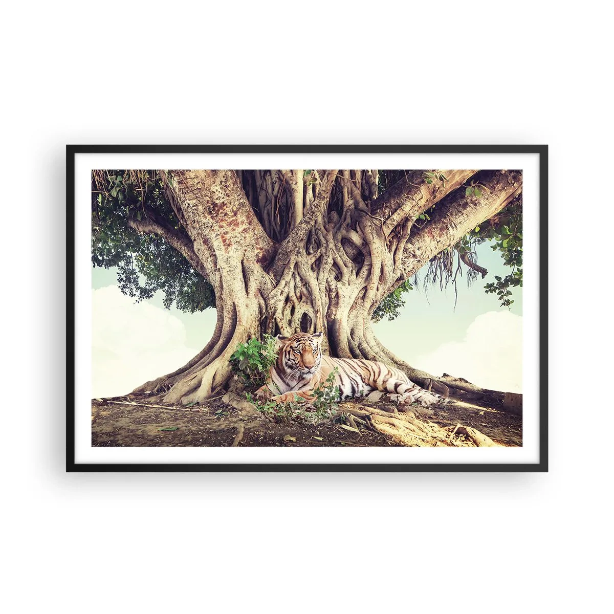 Poster in black frame - View from the Genesis - 91x61 cm