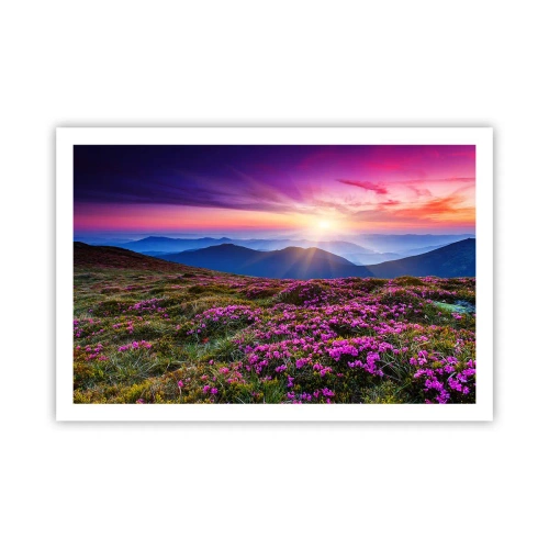 Poster - Smells Strongly of Herbs - 91x61 cm