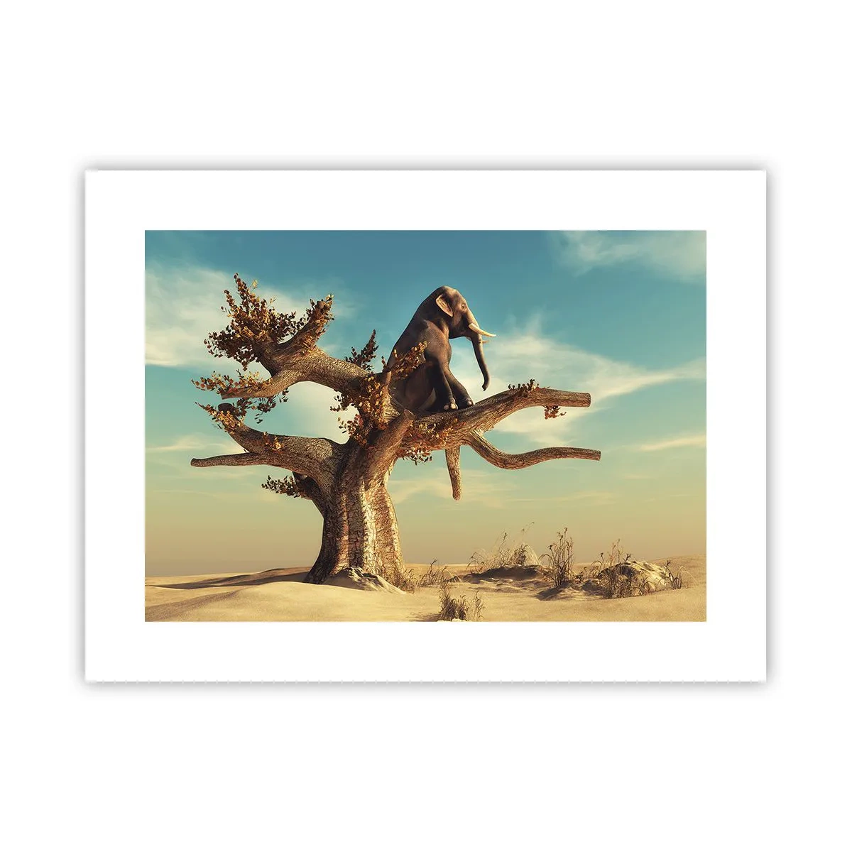 Poster - New Point of View - 40x30 cm