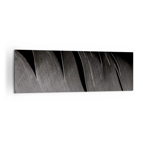 Canvas picture - Feather - Wonderful Constract - 160x50 cm