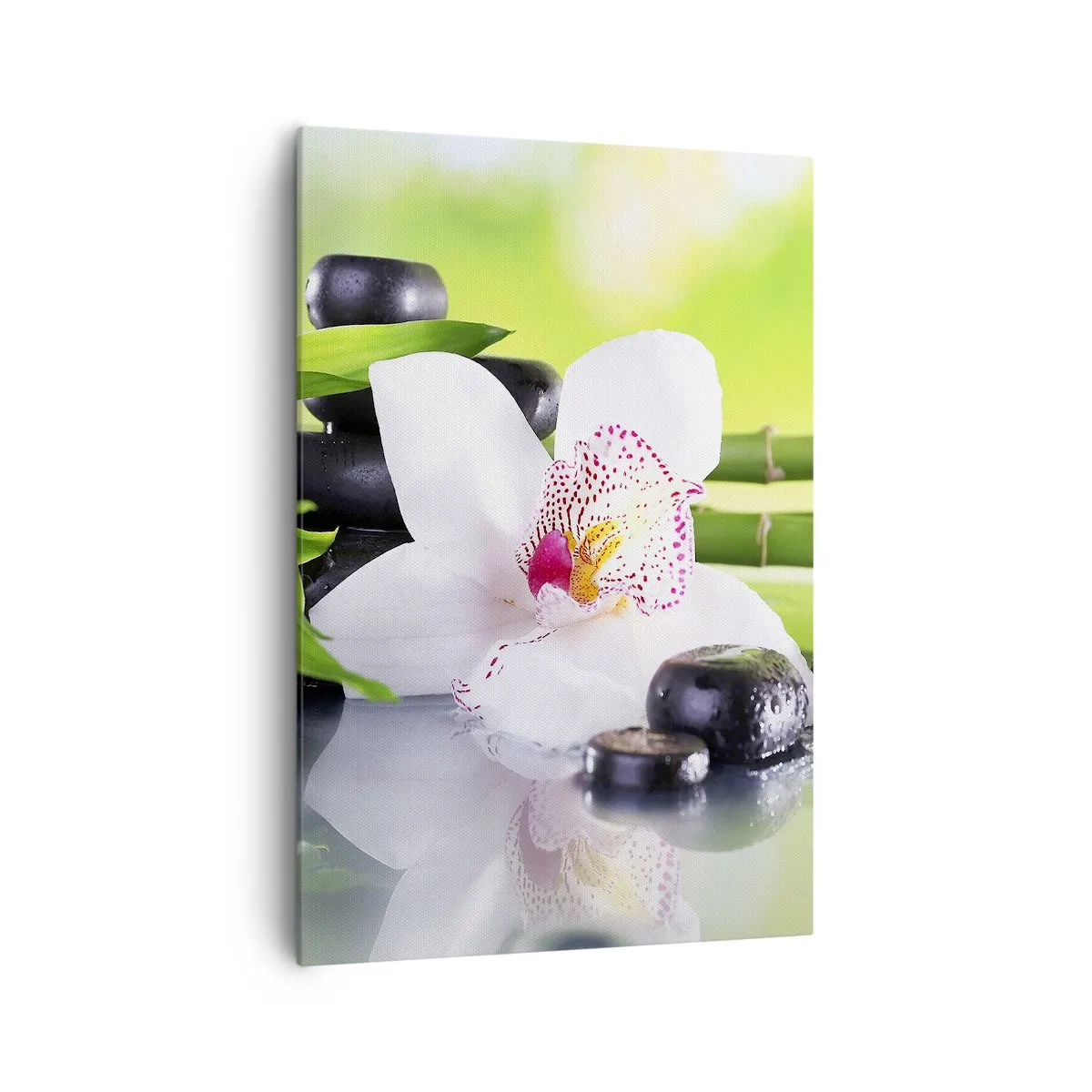 Canvas picture - Cool Freshness - 70x100 cm