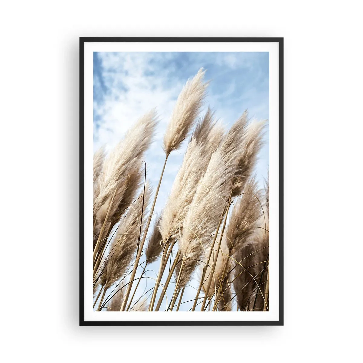 Poster in black frame - Caress of Sun and Wind - 70x100 cm