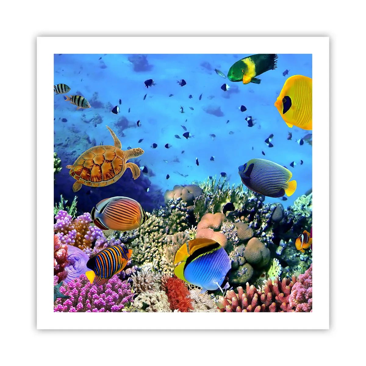 Poster - What Do We Know about Life? - 60x60 cm