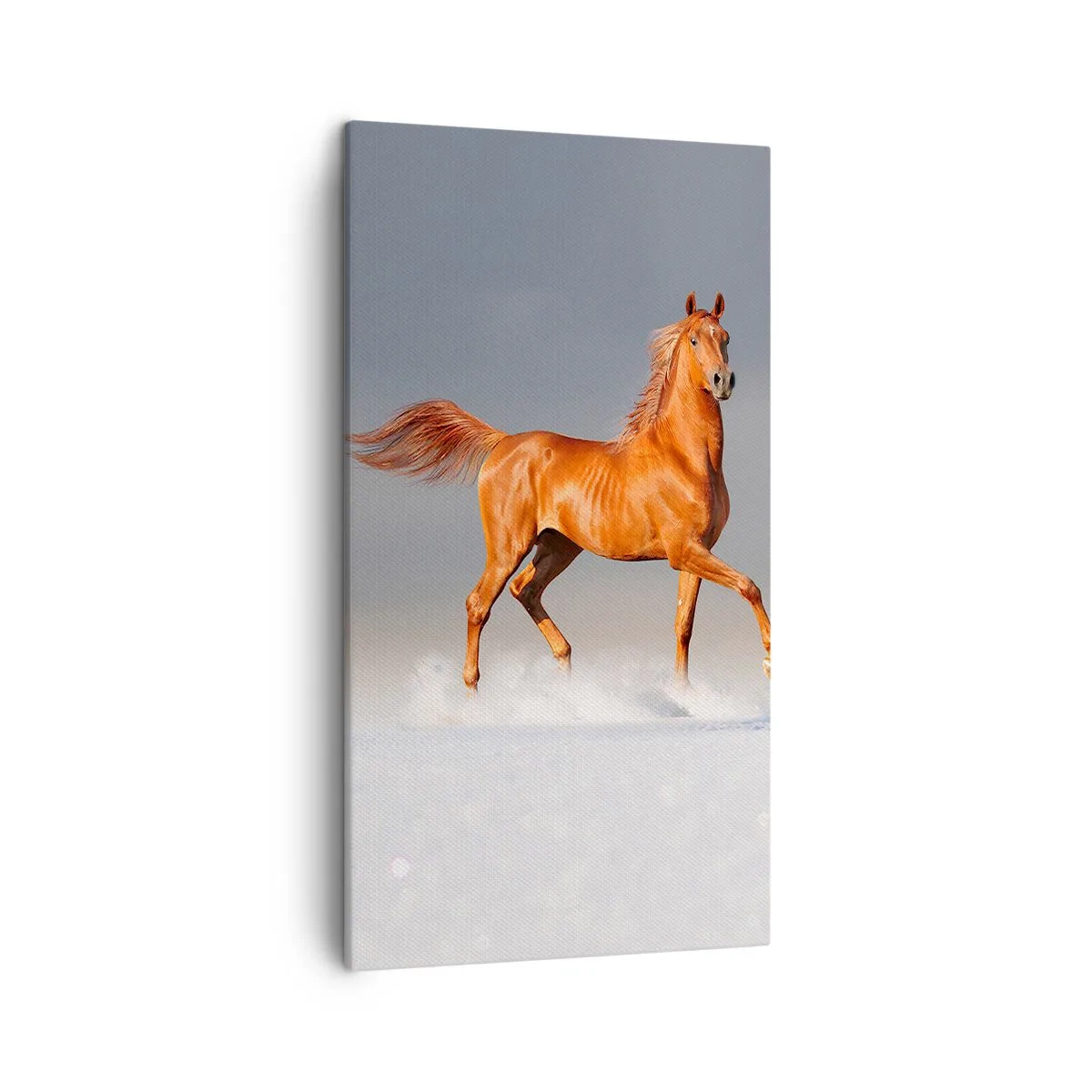 Canvas picture - Dancing Grace - 45x80 cm