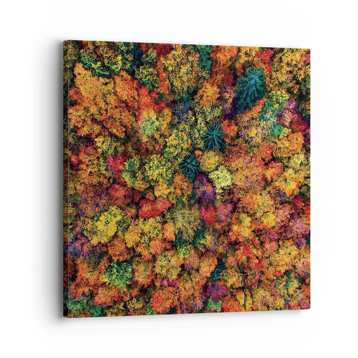 Canvas picture - Bouquet of Autumn Flowers - 30x30 cm