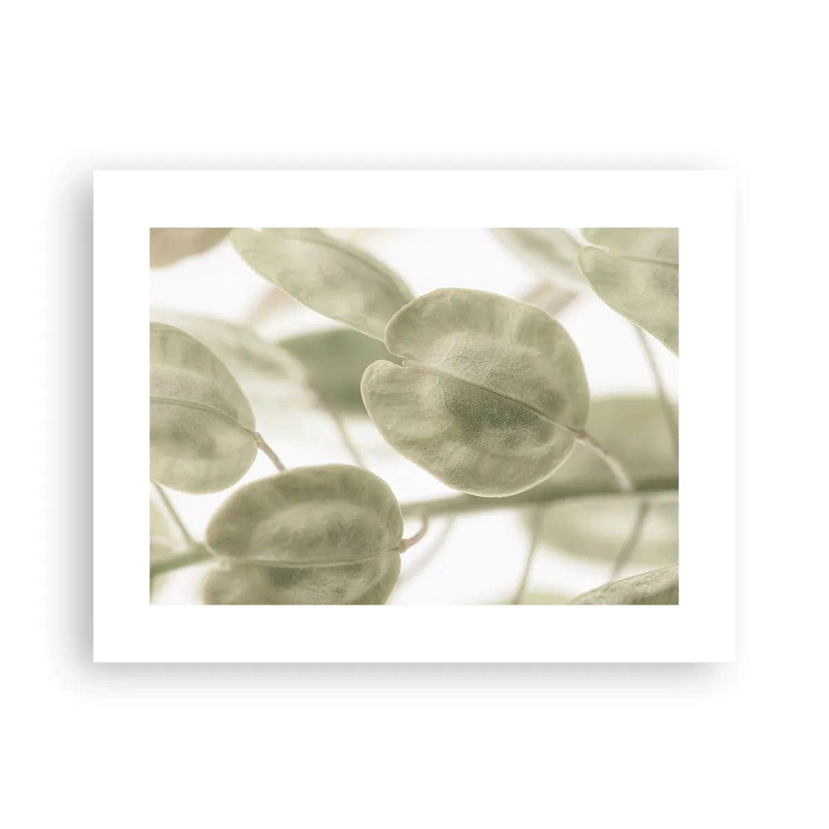 Poster - In the Beginning There Were Leaves… - 40x30 cm