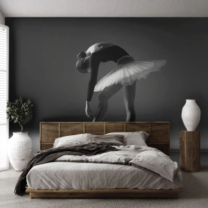 Photo Wallpaper Premium Canvas - Belle Ballet Dancer - Ballerina, Ballet, Dance - 450x315 cm