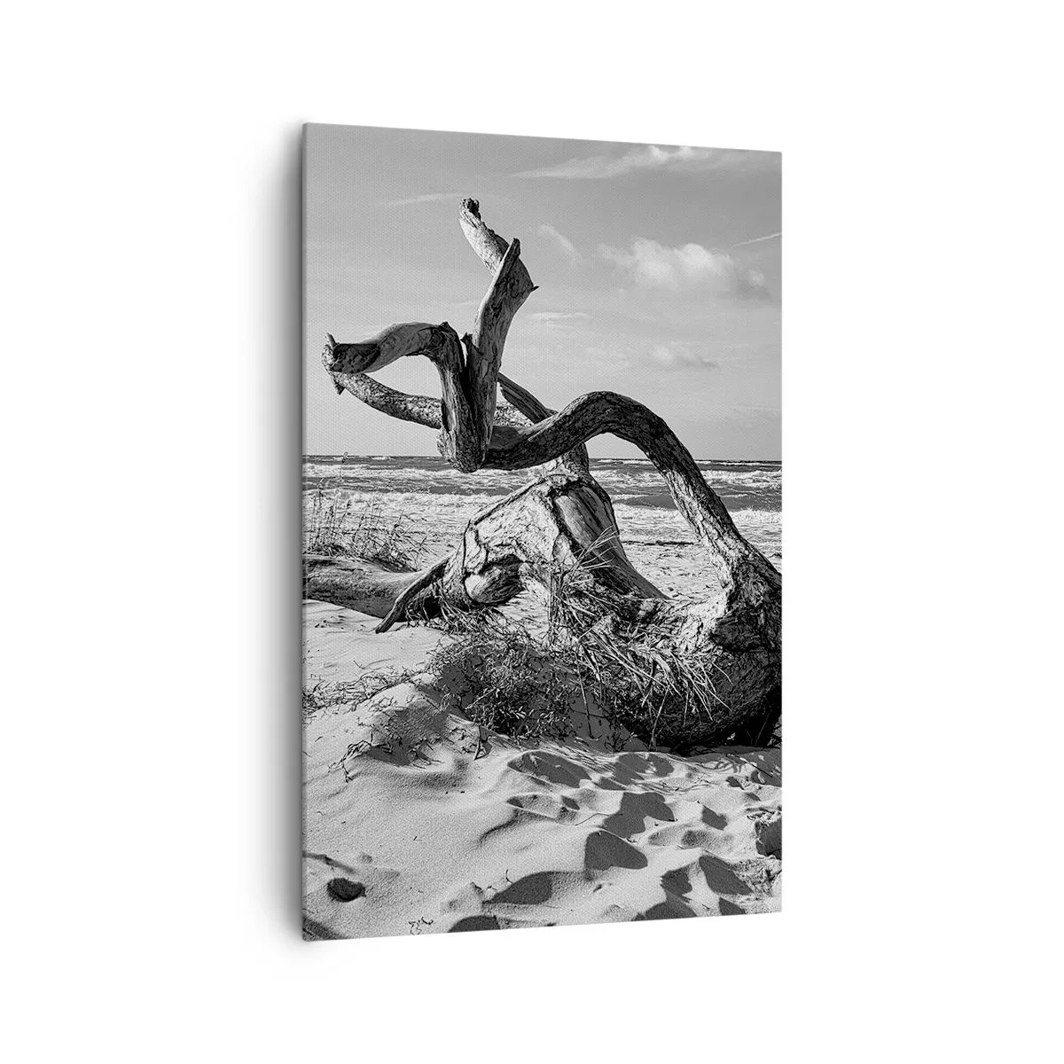Canvas picture - Seaside Sculpture - 80x120 cm