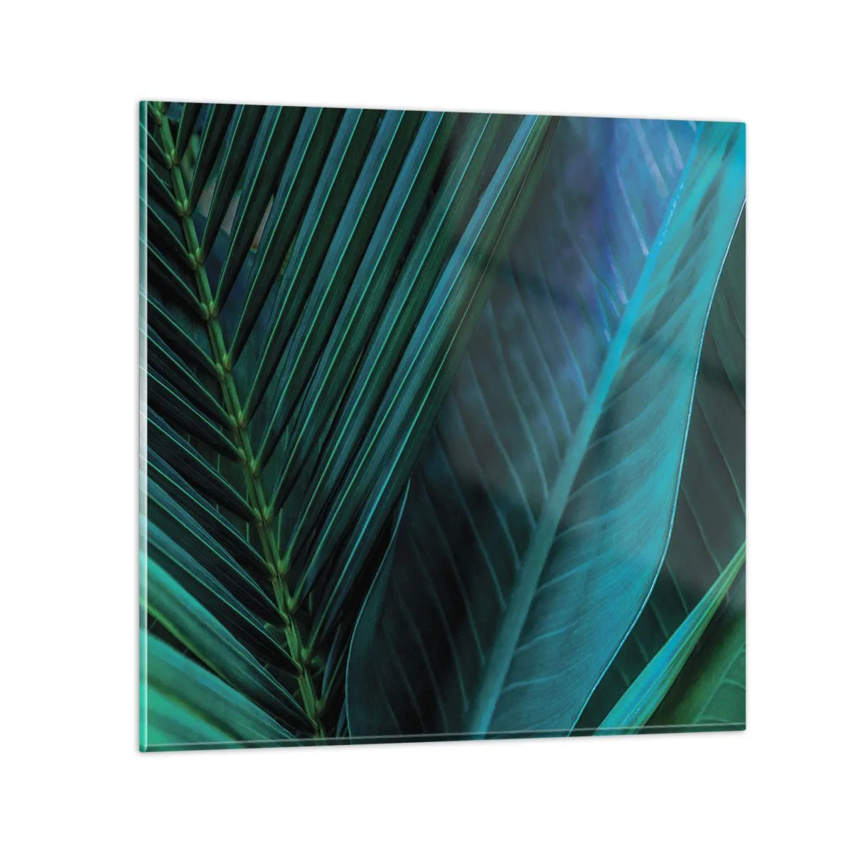 Glass picture - Anatomy of Green - 60x60 cm