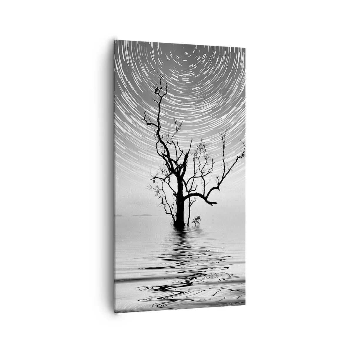 Canvas picture - Symphony of Nature - 65x120 cm