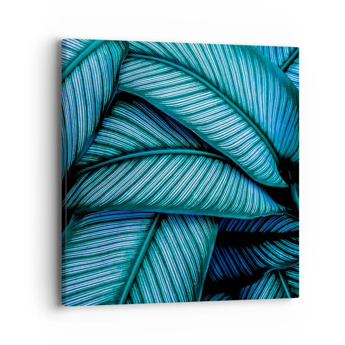 Canvas picture - Lifelines - 40x40 cm