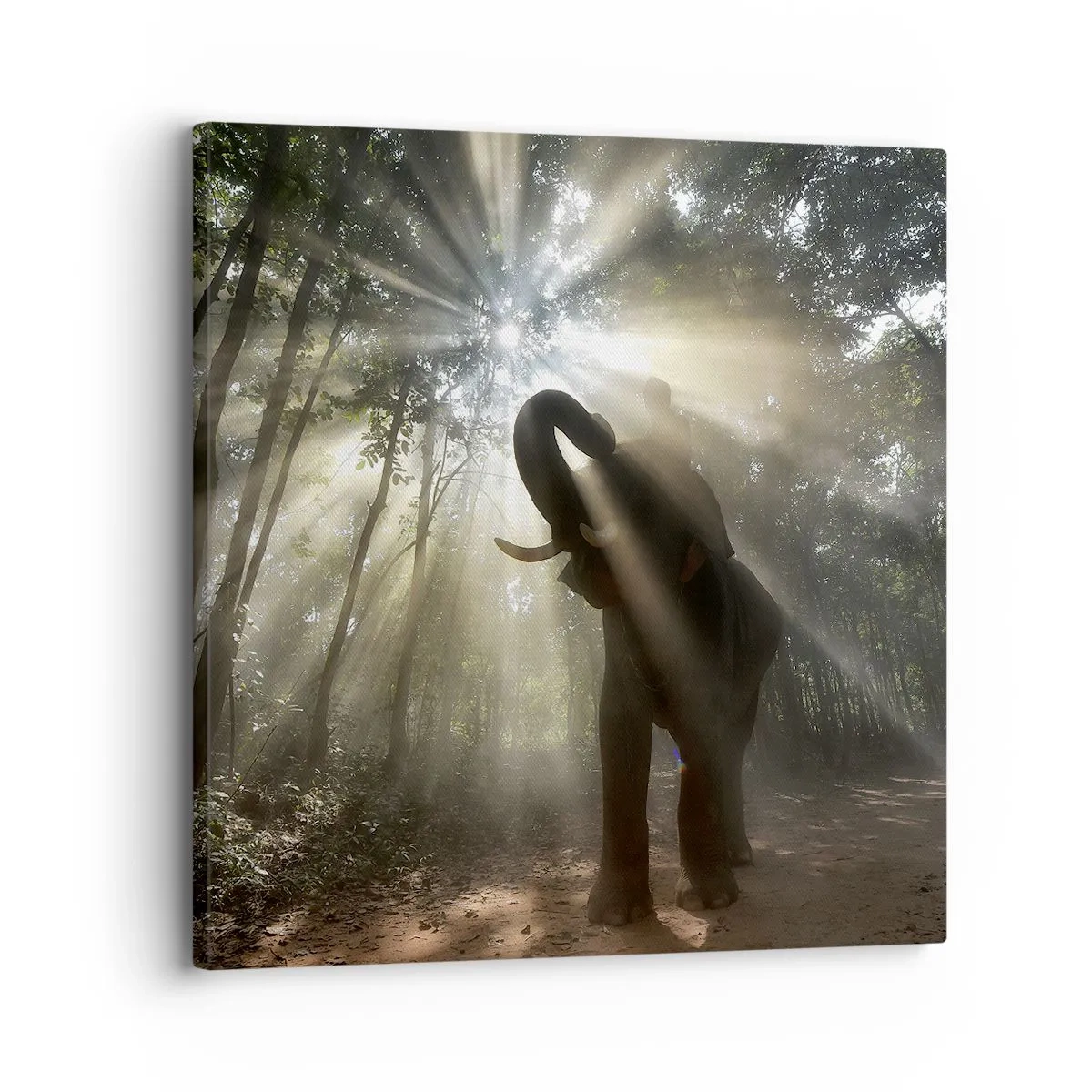 Canvas picture - Under a Lucky Star - 30x30 cm