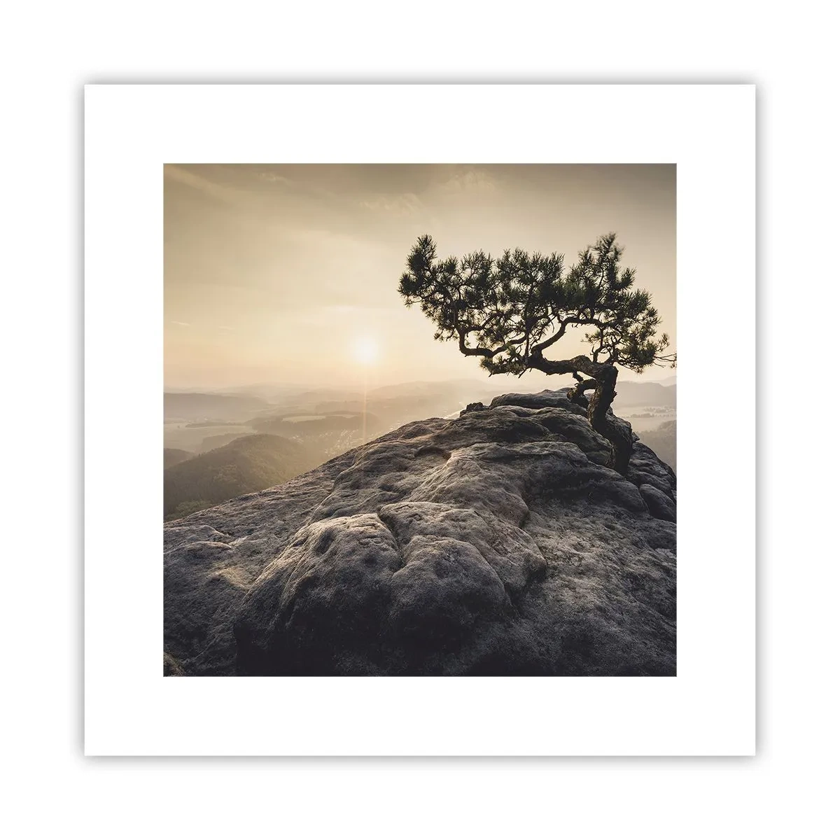 Poster - Life Always Wins - 30x30 cm