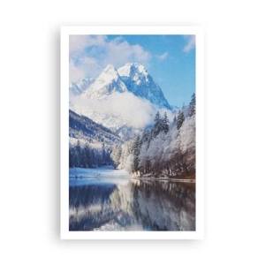 Poster - Snow Patrol - 61x91 cm