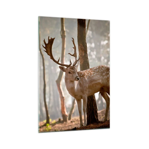 Glass picture - Light of Youth - 70x100 cm