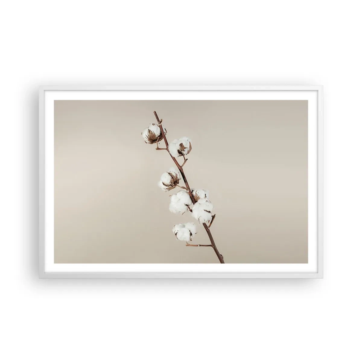 Poster in white frmae - At the Heart of Softness - 91x61 cm