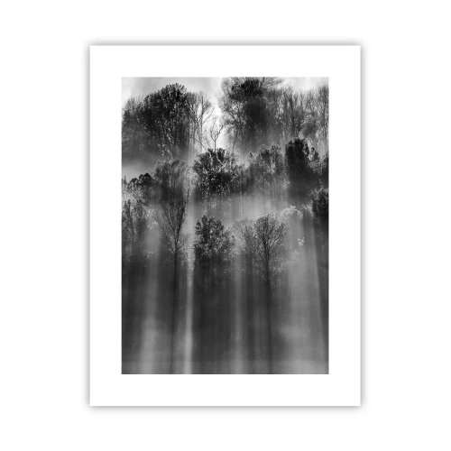 Poster - In the Streams of Light - 30x40 cm