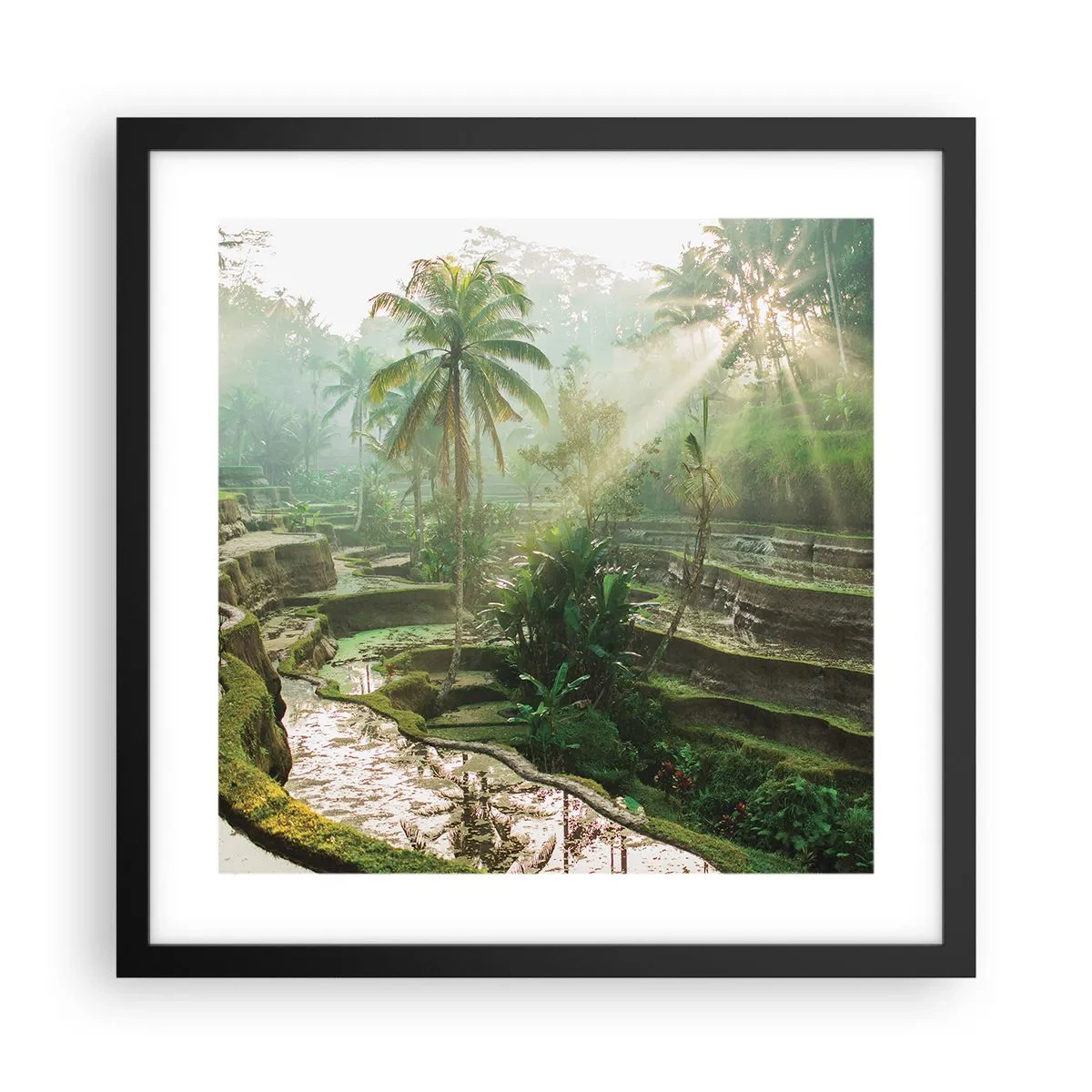 Poster in black frame - Maturing in the Sun - 40x40 cm