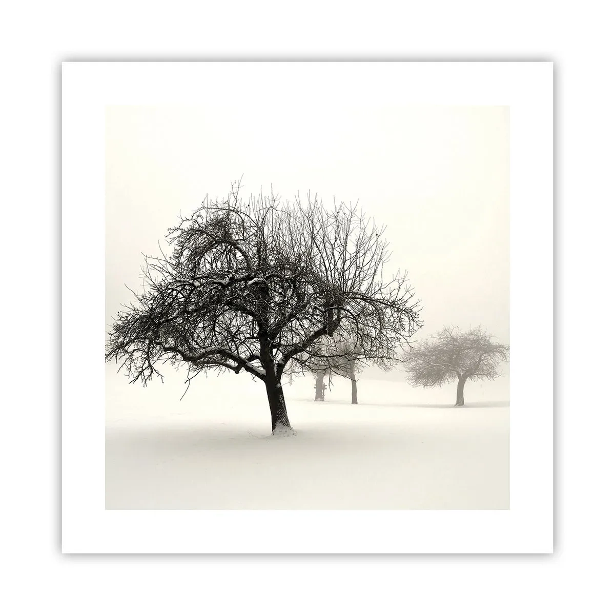 Poster - Winter Dream - 40x40 cm