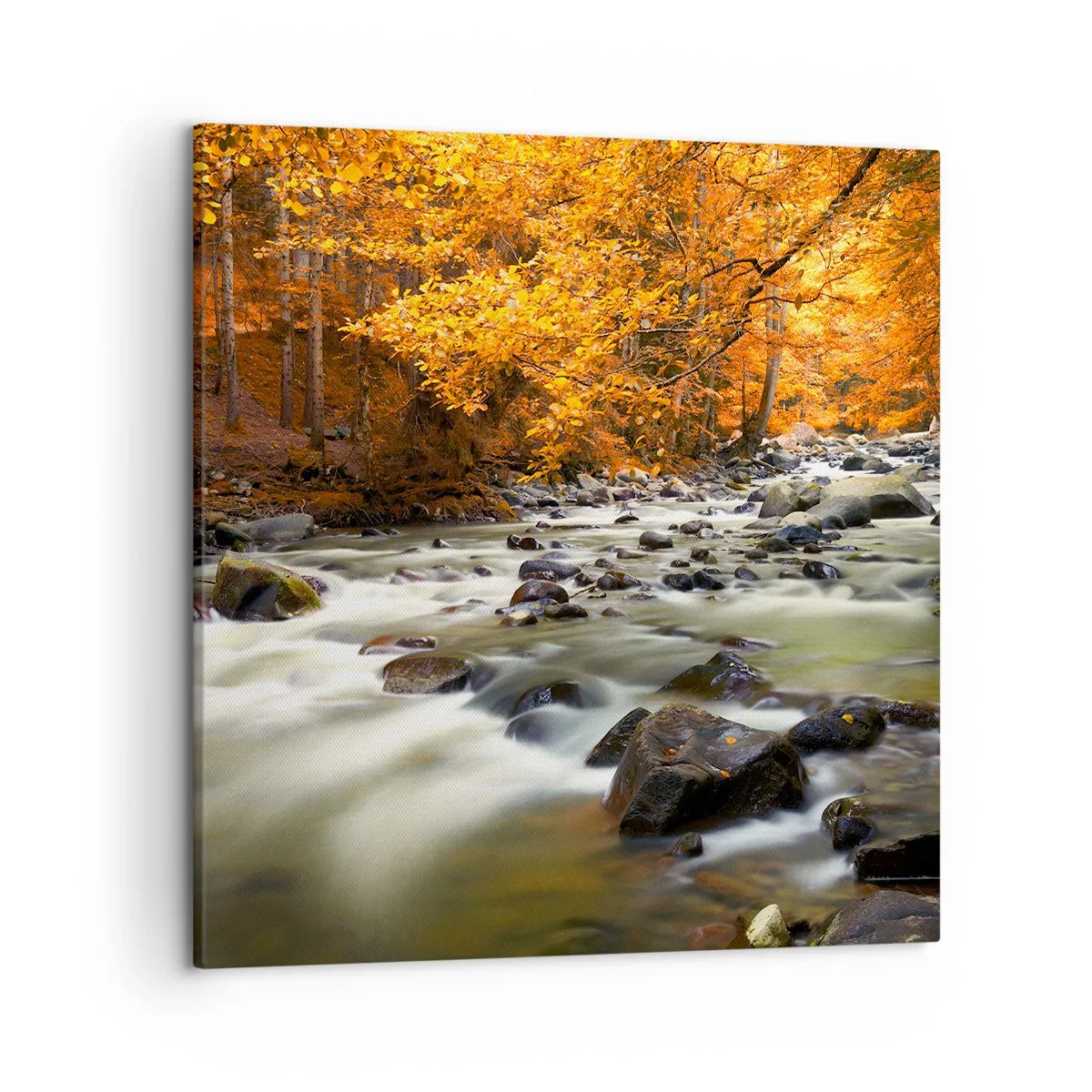 Canvas picture - Brook in a Golden Forest - 50x50 cm
