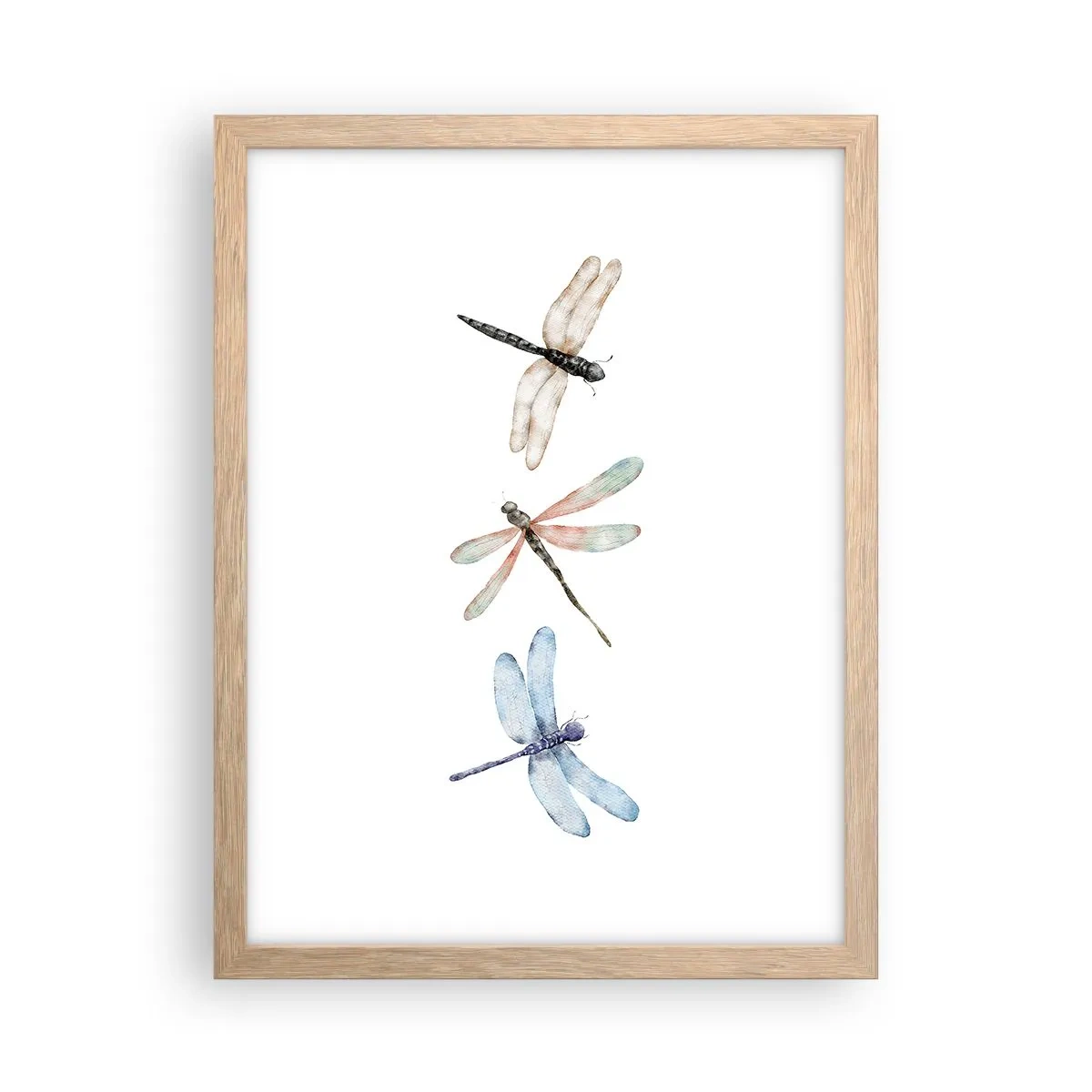 Poster in light oak frame - Lightness of Dragonflies - 30x40 cm