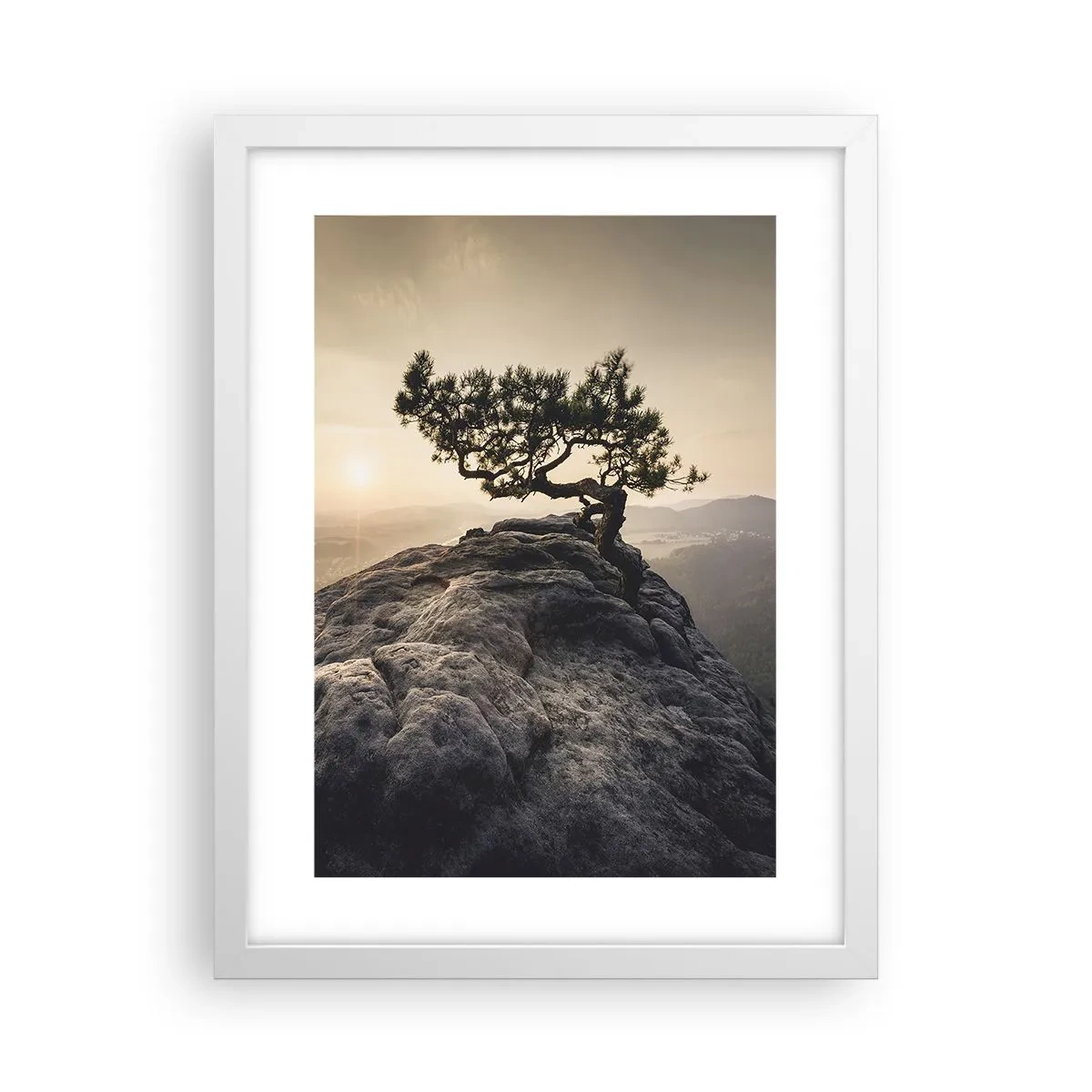 Poster in white frmae - Life Always Wins - 30x40 cm