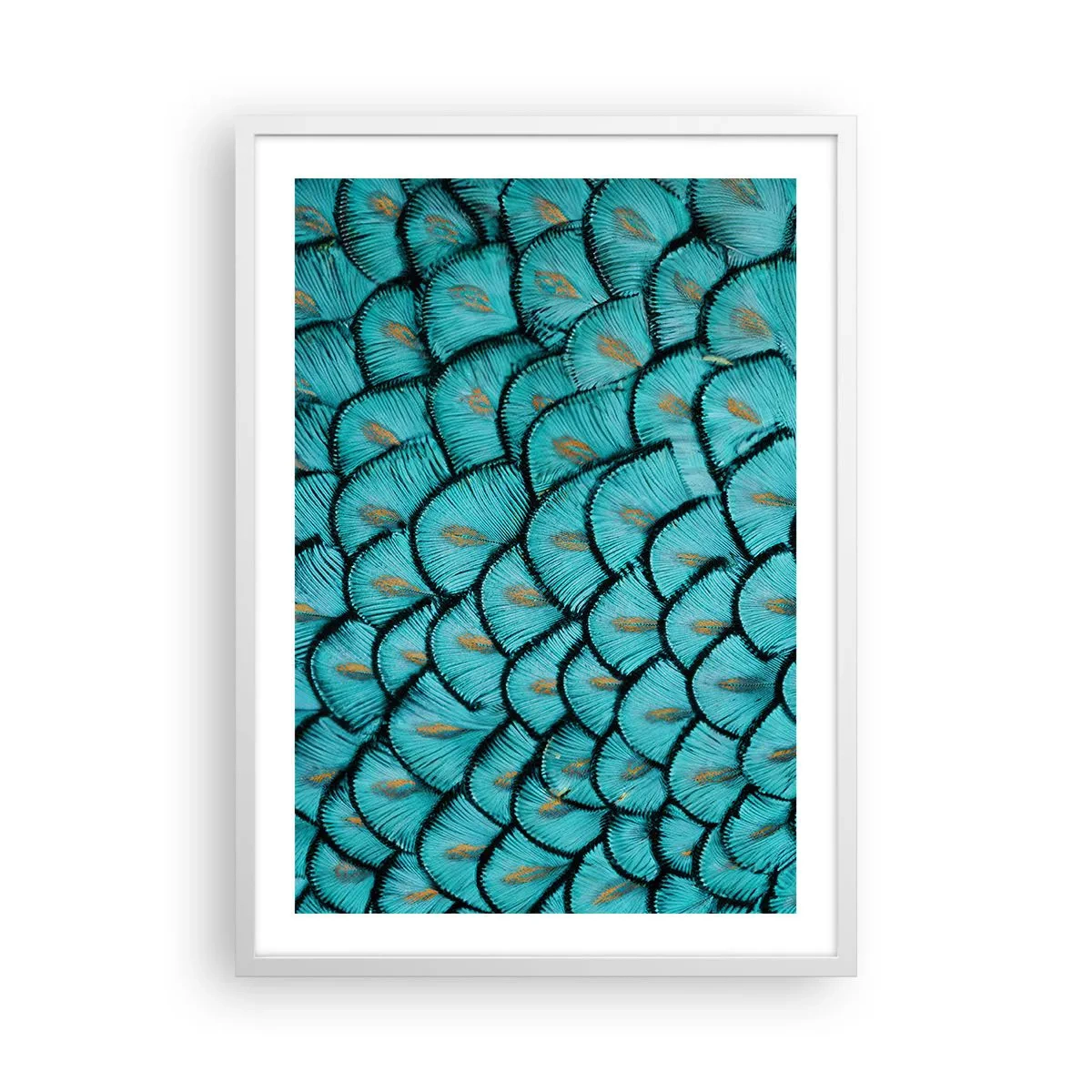 Poster in white frmae - Great Feather Gala - 50x70 cm