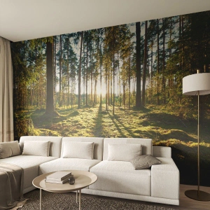 Custom Wallpaper Premium Canvas - Deep in the Forest - Landscape, Forest, Nature