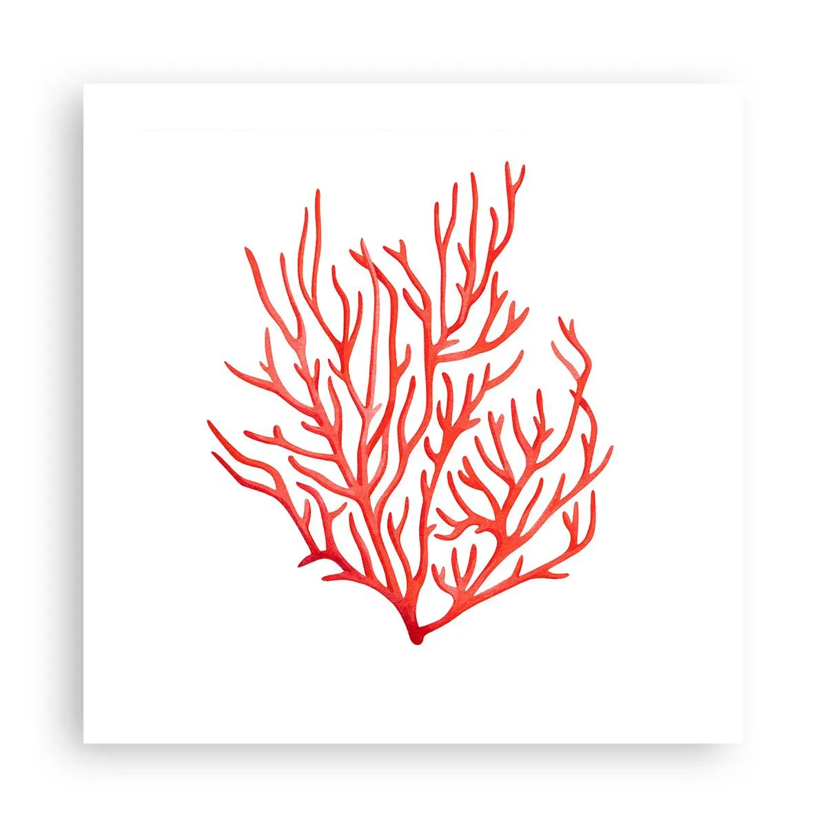 Poster - Coral Filigree - 50x50 cm