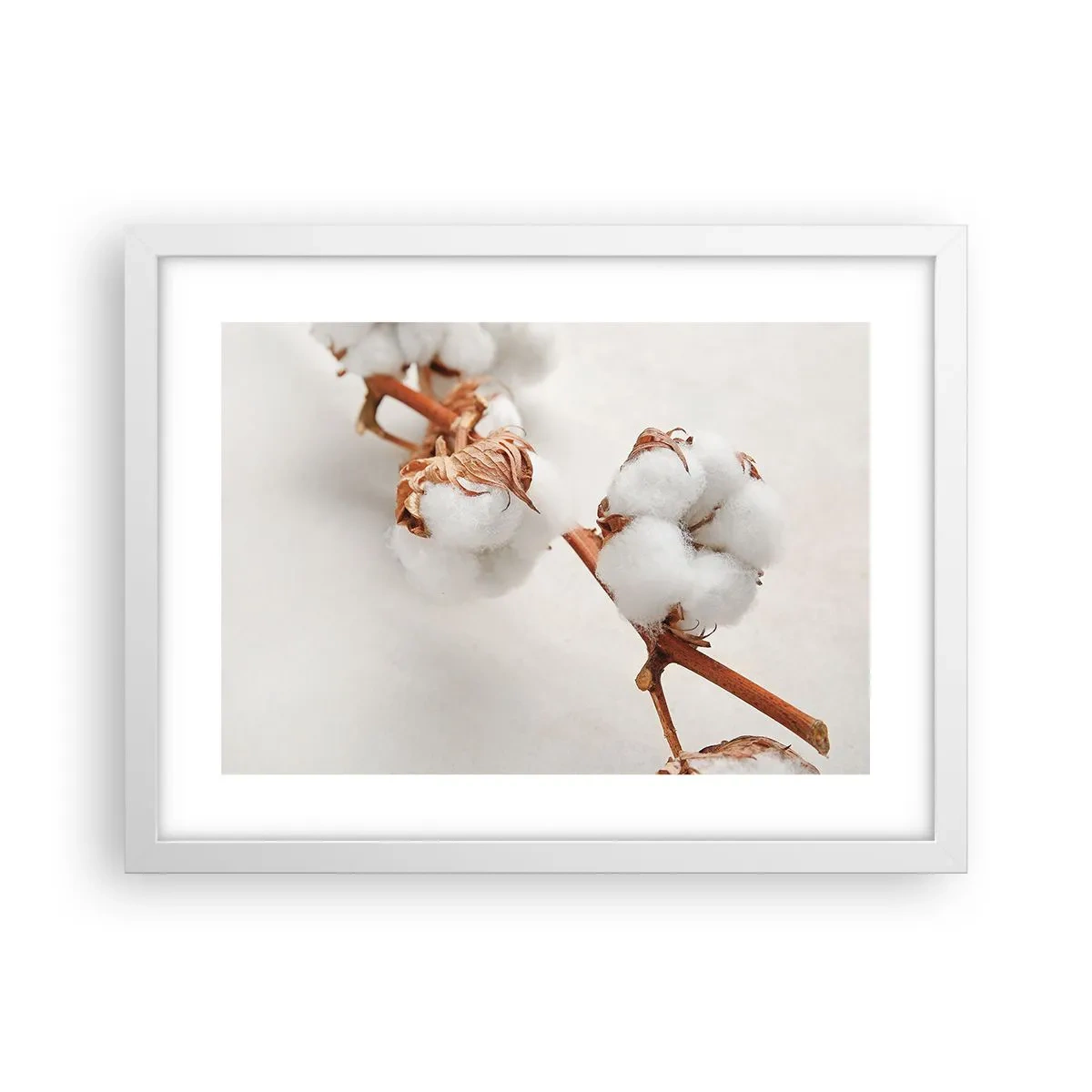 Poster in white frmae - Just Cuddle It - 40x30 cm