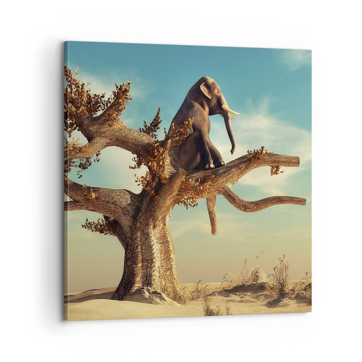 Canvas picture - New Point of View - 60x60 cm