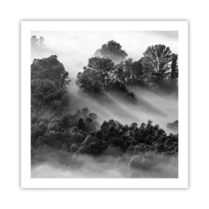 Poster - Rising from a Sleep - 60x60 cm