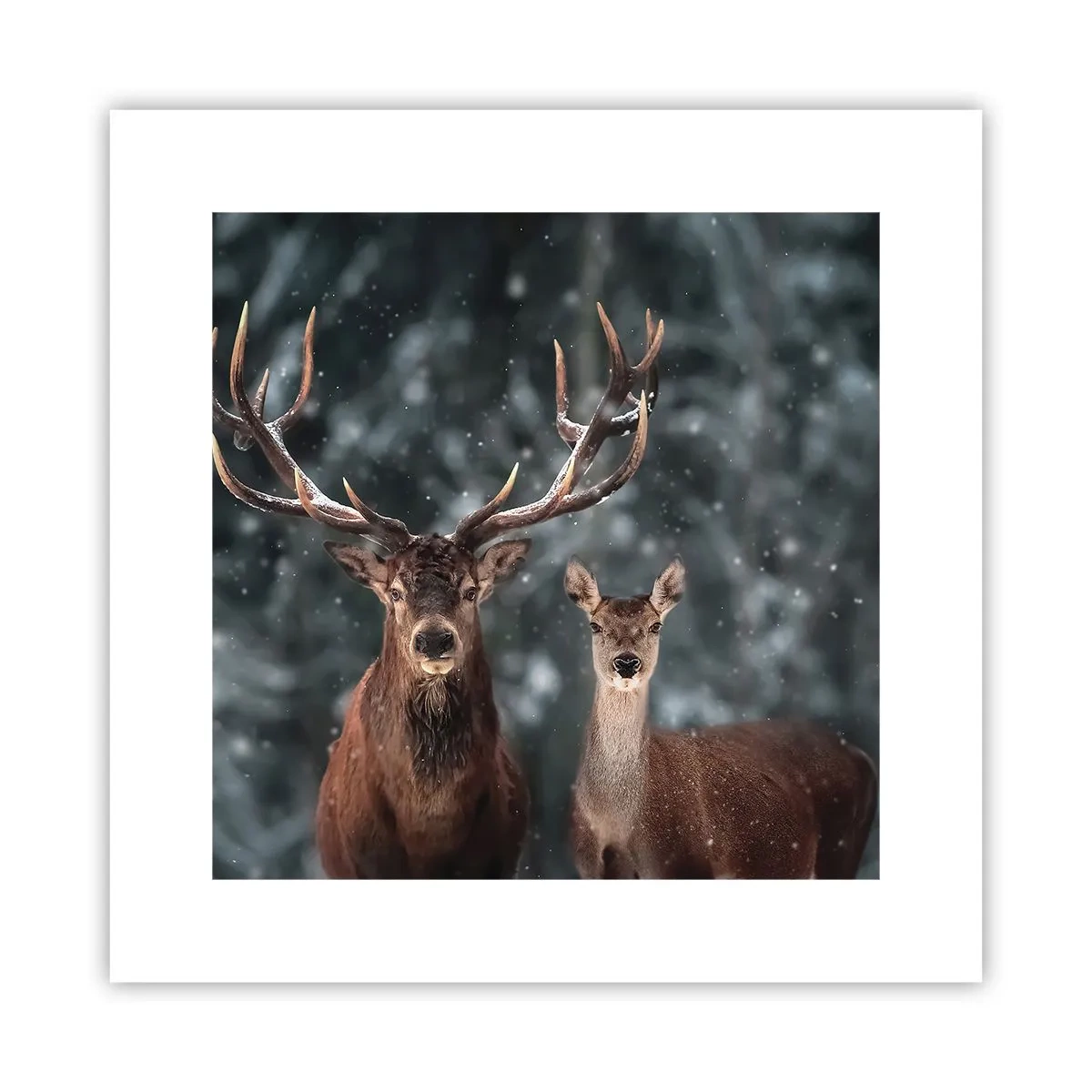 Poster - Master of the Forest with His Wife - 30x30 cm