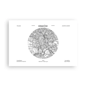 Poster - Anatomy of Crocow - 91x61 cm