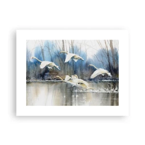 Poster - Like in a Fairy Tale about Wild Swans - 40x30 cm