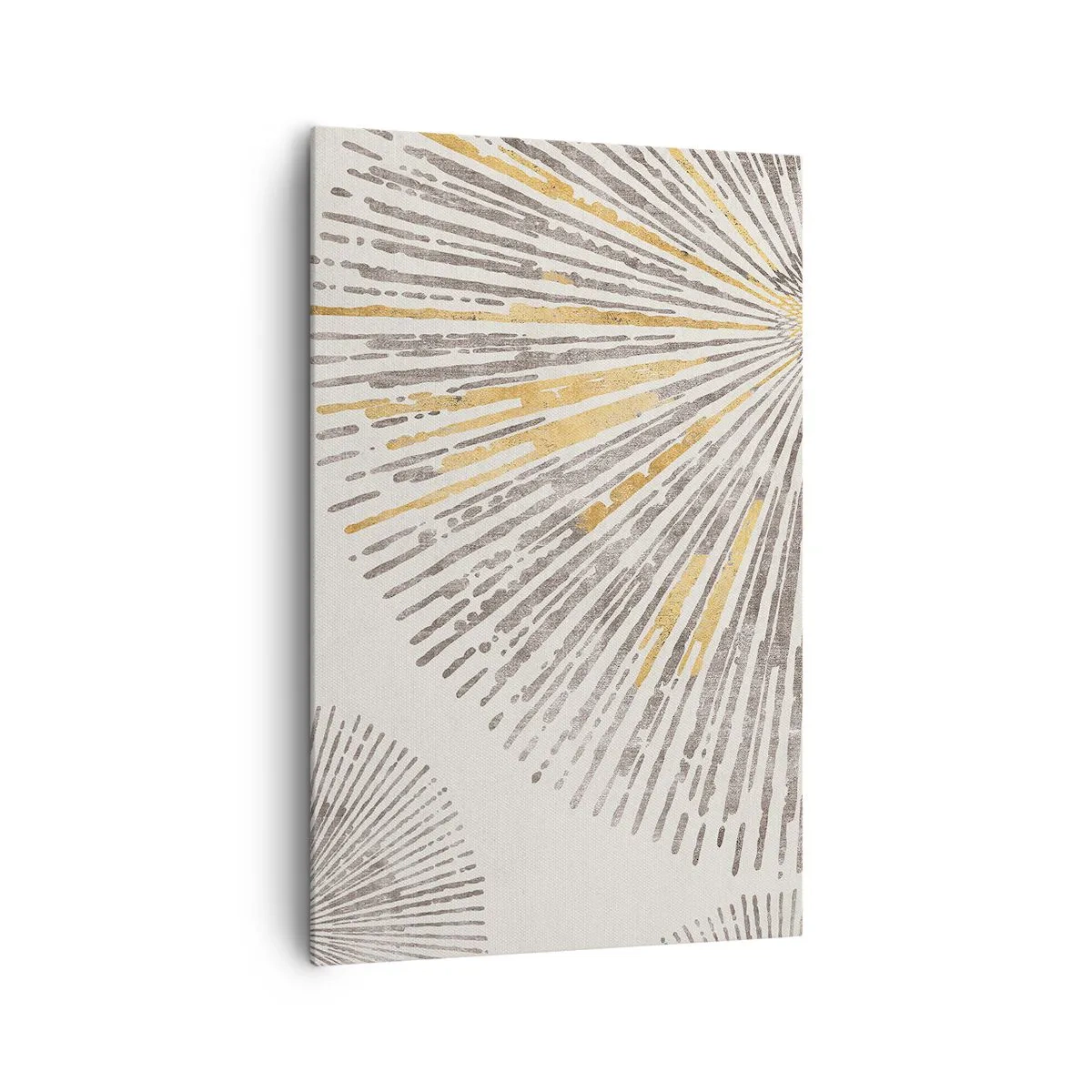 Canvas picture - Beauty of a Ray - 80x120 cm