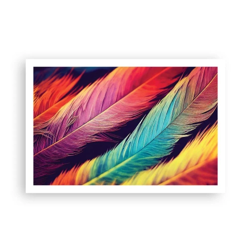 Poster - Feathered Rainbow - 91x61 cm