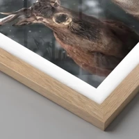 Light Oak