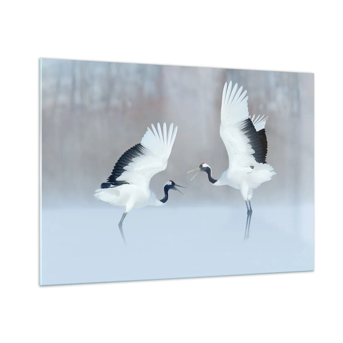 Glass picture - Dance in the Fog - 100x70 cm