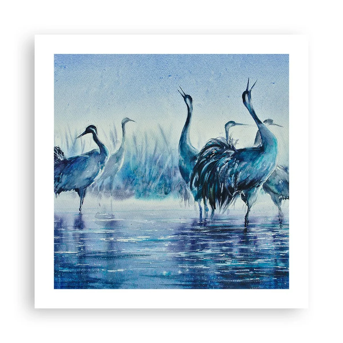 Poster - Morning Encounter - 50x50 cm