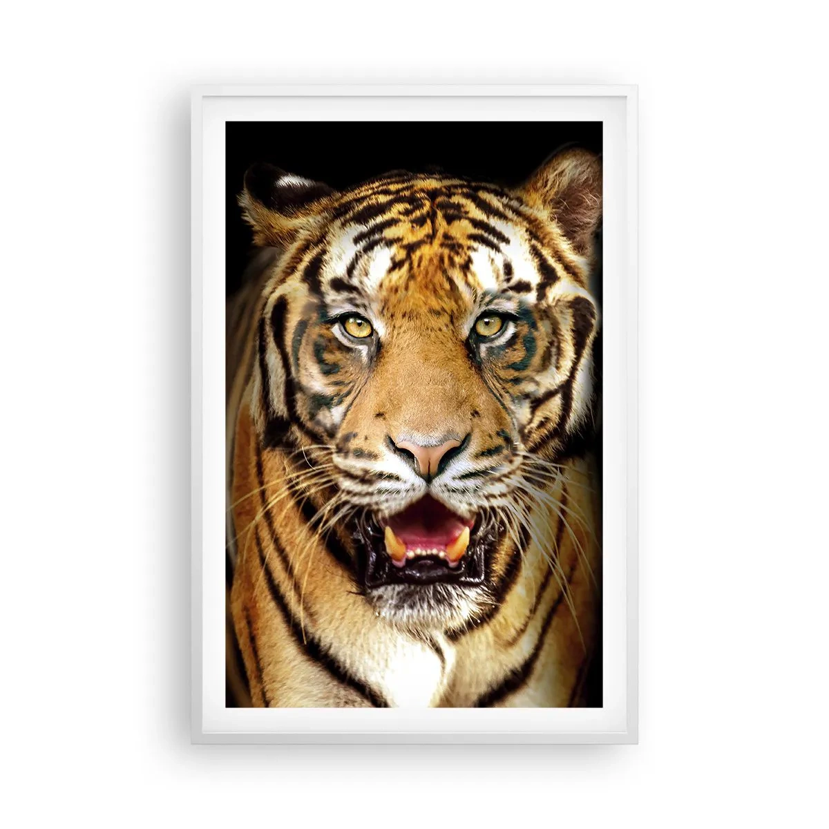 Poster in white frmae - Wild at Heart - 61x91 cm
