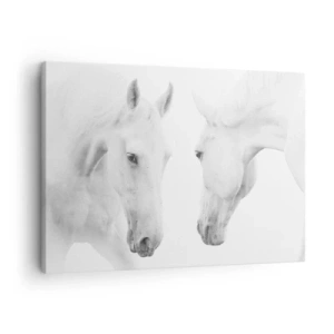 Canvas picture - A minimalist portrait of two white horses - 70x50cm - Is this friendship…? - Modern wall decoration for the living room and bedroom ARTTOR