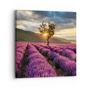 Canvas picture - Lilac Coloured Aroma - 30x30 cm