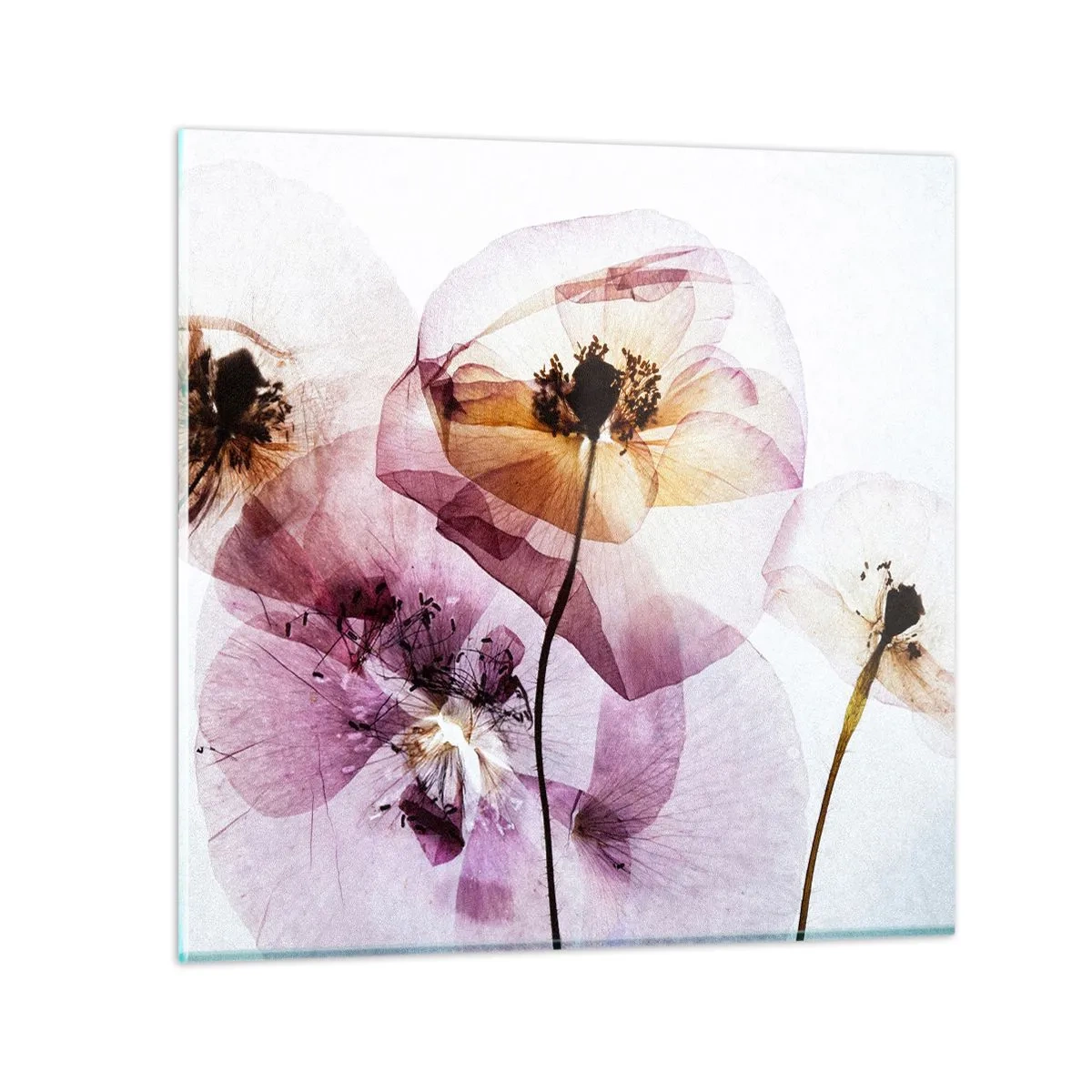 Glass picture - Flower Body Slide - 60x60 cm