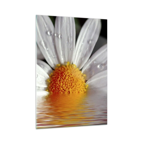 Glass picture - Sunrise of a Daisy - 50x70 cm