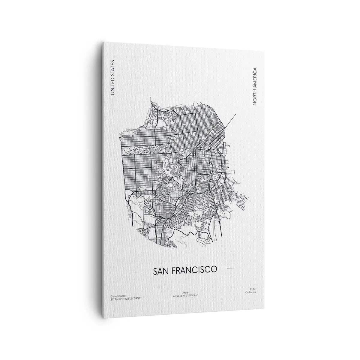 Canvas picture - Anatomy of San Francisco - 80x120 cm