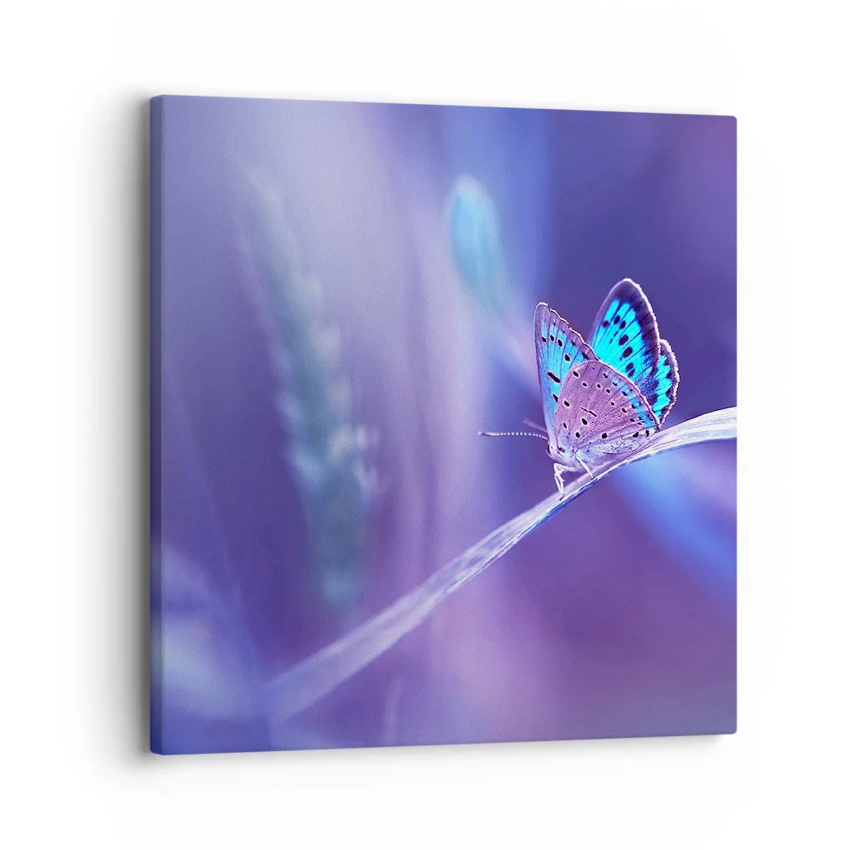 Canvas picture - Jewel of Nature - 30x30 cm