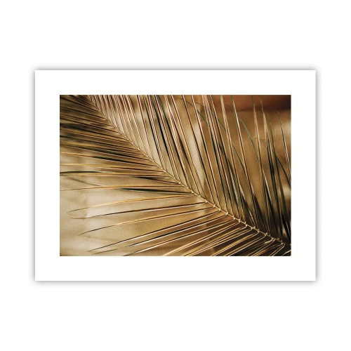 Poster - Natural Colonnade - 40x30 cm